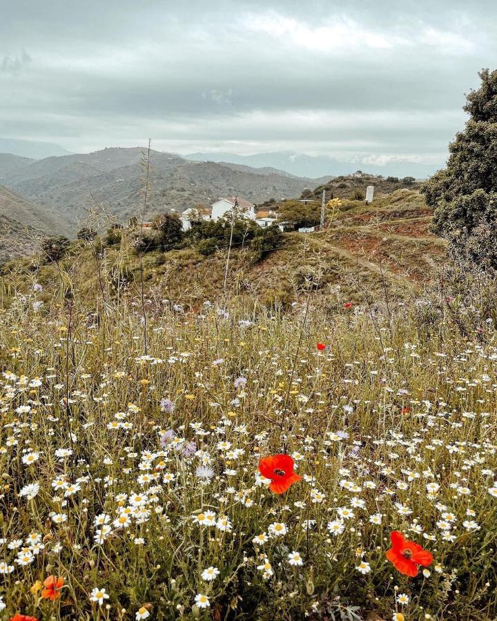 Finca Serrato Colmenar Esterno foto